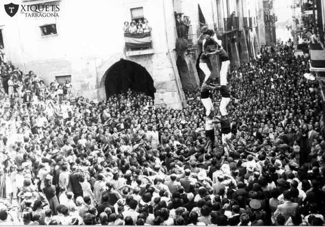 24945_zapet_asto_cols_cvxt